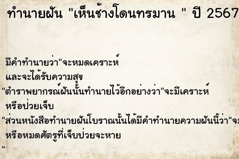 ทำนายฝันทำนายฝันเห็นช้างโดนทรมาน